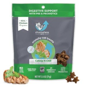 Chicken Cat Treats for Digestive Health