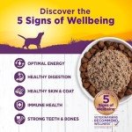 Wellness Complete Health Chicken & Sweet Potato Dog Food