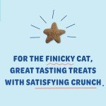 Chicken Cat Treats for Digestive Health