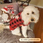 Reindeer Dog Christmas Sweater with Leash Hole, XL