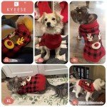 Reindeer Dog Christmas Sweater with Leash Hole, XL