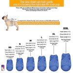 Colorful Summer Dog T-Shirts - Set of 4