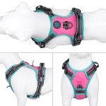 Reflected Adjustable No Pull Dog Harness - Pink