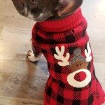 Reindeer Dog Christmas Sweater with Leash Hole, XL