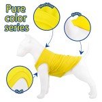 Colorful Summer Dog T-Shirts - Set of 4
