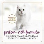 Purina Fancy Feast Gravy Lovers Chicken Cat Food