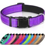 Joytale Adjustable Reflective Dog Collar for Medium Dogs
