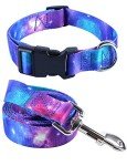Adjustable Galaxy Collar and Leash Set for Pets