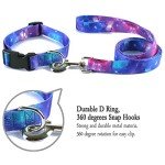 Adjustable Galaxy Collar and Leash Set for Pets