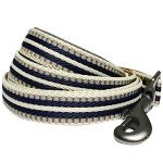Blueberry Pet Reflective Dog Leash – Olive/Blue-Gray