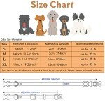 Adjustable Galaxy Collar and Leash Set for Pets