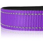 Joytale Adjustable Reflective Dog Collar for Medium Dogs