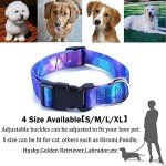 Adjustable Galaxy Collar and Leash Set for Pets