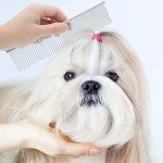 GUBCUB 2-in-1 Grooming Brush for Small Dogs