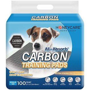 Absorbent Puppy Training Pads with Odor Control