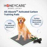 Absorbent Puppy Training Pads with Odor Control
