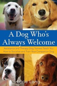 Train and Socialize Your Companion Dog Easily