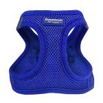 Step-In No Pull Dog Harness for Small Dogs