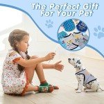 6 Pack Cozy Winter Shirts for Small Pets