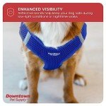 Step-In No Pull Dog Harness for Small Dogs