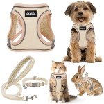 GAMUDA Soft Harness and Leash Set for Pets