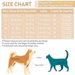 GAMUDA Soft Harness and Leash Set for Pets