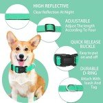 Maiiu Adjustable Reflective Dog Collar and Leash Set
