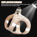 GAMUDA Soft Harness and Leash Set for Pets