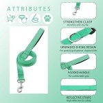 Maiiu Adjustable Reflective Dog Collar and Leash Set