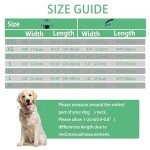 Maiiu Adjustable Reflective Dog Collar and Leash Set