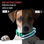 Maiiu Adjustable Reflective Dog Collar and Leash Set