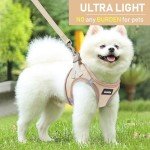 GAMUDA Soft Harness and Leash Set for Pets