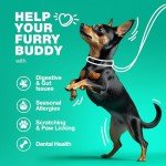 Probiotic Chews for Healthy Dogs - 180 Count