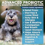 Dog Probiotics and Digestive Enzymes - Made in USA