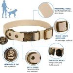 Wisedog Adjustable Dog Collar and Leash Set
