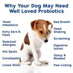 Dog Probiotics and Digestive Enzymes - Made in USA
