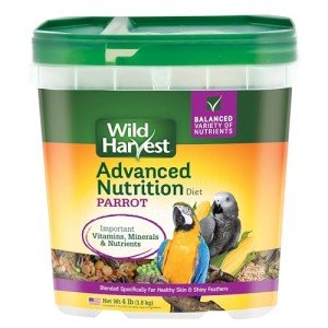 Wild Harvest Advanced Nutrition Parrot Diet, 4 lbs