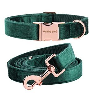Velvet Dog Collar and Leash Set for Pets