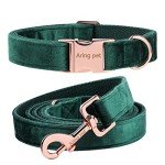 Velvet Dog Collar and Leash Set for Pets