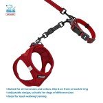 Voyager Dog Safety Collar with Double Closure