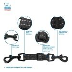 Voyager Dog Safety Collar with Double Closure