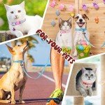 48-Piece Adjustable Dog Collar and Leash Set