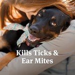 PetArmor Ear Mite and Tick Treatment for Dogs