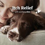 PetArmor Ear Mite and Tick Treatment for Dogs