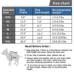 Cozy Dog Sweater Set for Small Dogs