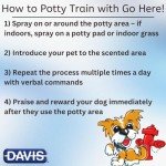 Davis Go Here Pet Potty Training Spray, 22 oz