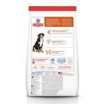 Hill's Science Diet Large Breed Adult Dog Food 33lb