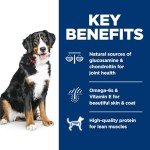 Hill's Science Diet Large Breed Adult Dog Food 33lb