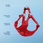 Voyager Reflective No-Pull Dog Harness - Red