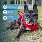 Voyager Reflective No-Pull Dog Harness - Red